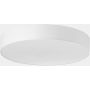 TK Lighting RONDO 2443 Lubų šviestuvas 6x60W/E27
