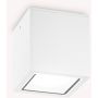 Ideal Lux TECHO 251523 Lubų šviestuvas 1x20W/GU10 ip54