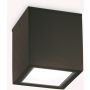 Ideal Lux TECHO 251530 Lubų šviestuvas 1x20W/GU10 ip54