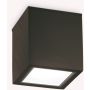 Ideal Lux TECHO 251578 Lubų šviestuvas 1x20W/GU10 ip54