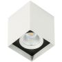 Italux Alden White Black 4000K SLC78002/12W 4000K WH+BL Lubų šviestuvas 1x12W/LED 4000K 1010lm IP20