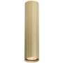 Italux Rilok CLN-83920-L-GD Lubų šviestuvas 1x10W/GU10 IP20