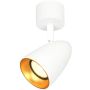 Italux Tino SPL-36748-1R-WH-GD Taškinis šviestuvas 1x10W/GU10 IP20
