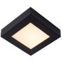 Lucide BRICE-LED 28117/17/30 Stropo šviestuvas 1x15w/led 3000k 800lm ip44