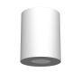 Antigo Point 1257 downlight natynkowy 1x10W/GU10 IP44