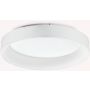 Ideal Lux ZIGGY 293790 Stropo šviestuvas 1x43W/LED ip20