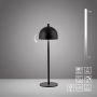Paul Neuhaus BELLIS 19244-18 Stalo lempa 1x2,5W/LED 3000k 189lm ip54