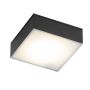 SHILO TOTTORI IL 8577 Lubų šviestuvas 10W/LED 4000K 1200LM IP44