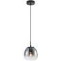 Italux Antita PND-3650-1S-BK-CSG Pakabinama lempa 1x40W/LED IP20