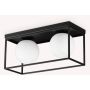 Ideal Lux LINGOTTO 304137 Stropo šviestuvas 2x28W/E14 ip20