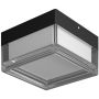 Italux Nefis PLF-53628-BK Stropo šviestuvas 1x9W/LED IP65