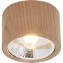 Zuma Line OAK 3010103 Lubų šviestuvas 1x15W/GU10 Es111 IP20