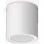Ideal Lux TECHO 318127 Lubų šviestuvas 1x20W/GU10 ip54