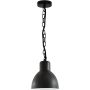 Polux ARNE 311924 Pakabinama lempa 1x10W/E27 IP44