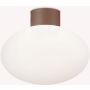 Ideal Lux CLIO 326795 Stropo šviestuvas 1x42W/E27 ip44