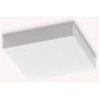 Ideal Lux SNOW 326238 Stropo šviestuvas 1x18W/LED 3000K ip65