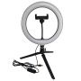 Polux SELFIE 327604 Darbo stalo lempa 1x10W/LED 2700K-4000K-6000K 240lm IP20