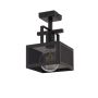 Sigma Lighting ALBERT 32178 Stropo šviestuvas 1x60W/E27
