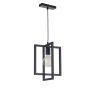 Sigma Lighting EDEN 32231 Pakabinama lempa 1x60W/E27