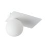 Sigma Lighting ARGON 33272 Lubų šviestuvas 1x12W/G9