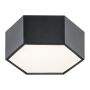 Argon ARIZONA 3824 Lubų šviestuvas 1x9W/LED 3000K 1150LM IP20