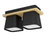 Eglo RUSCIO 390007 Stropo šviestuvas 2x40W/E27 IP20