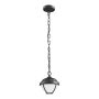 Prezent NEBRASKA 39018 Pakabinama lempa 1x7W/LED 600lm IP44