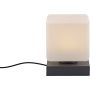 Paul Neuhaus DADOA 4036-13 Stalo lempa 1x7W/LED 3000k 580lm ip20