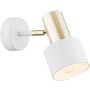 Argon DORIA 4264 Sienos lempa 1x15W/E27 IP20