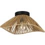 Eglo LAVISTER 44071 Stropo šviestuvas 1x60w/e27 ip20