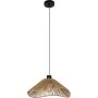 Eglo LAVISTER 44072 Pakabinama lempa 1x60w/e27 ip20