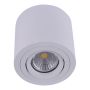 Prezent ALMAN I. 48606 Lubų šviestuvas 1x50W/GU10 IP20