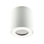 Prezent ALMAN IP I. 48620 Lubų šviestuvas 1x35W/GU10 IP20