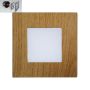 Prezent STEP LIGHT 48307 Lauko laiptų įmontuojama švieslentė 1x1W/LED 60lm IP20