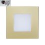 Prezent STEP LIGHT 48334 Lauko laiptų įmontuojama švieslentė 1x1W/LED 60lm IP20