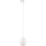 TK Lighting TRACER 4886 Geležinkelio švieslentė 1x8W/G9 IP20