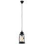 Eglo BRADFORD 49213 Pakabinama lempa 1x60W/E27