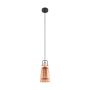 Eglo FRAMPTON 49153 Pakabinama lempa 1x60W/E27 IP20