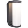Lutec ADALYN 5193602118 Sienos lempa 1x10.2w/led 3000k 600lm ip44