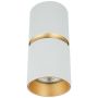 Zambelis CEILING SPOT S161 Lubų šviestuvas 1x40w/GU10 IP20