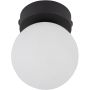 TK Lighting MINI 5613 Lubų šviestuvas 1x6W/G9 IP20
