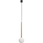Zuma Line ALI 5639 Pakabinama lempa 1x40W/G9 IP20