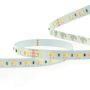 Zambelis LED STRIP LS06 LED juostelė IP20