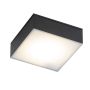 SHILO TOTTORI IL 8057 Lubų šviestuvas 1x10W/LED 1000LM IP20