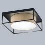 Fischer&Honsel Carre 21327 Stropo šviestuvas 3x25W/E14 IP20