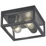Trio GARONNE 601860242 Stropo šviestuvas 2x10w/e27 ip44
