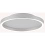 Zambelis CEILING LED LAMP 25161 Lubų šviestuvas 27W/led 2700-3000-4000K 1274-1334-1365lm IP20