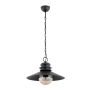 Alfa HOLLY 61340 lampa wisząca 1x10W/E14 IP20