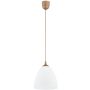 Alfa LERA 61465 Pakabinama lempa 1x15W/E27