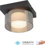Paul Neuhaus RIKA 6162-18 Stropo šviestuvas 1x6W/LED 3000k 680lm ip20